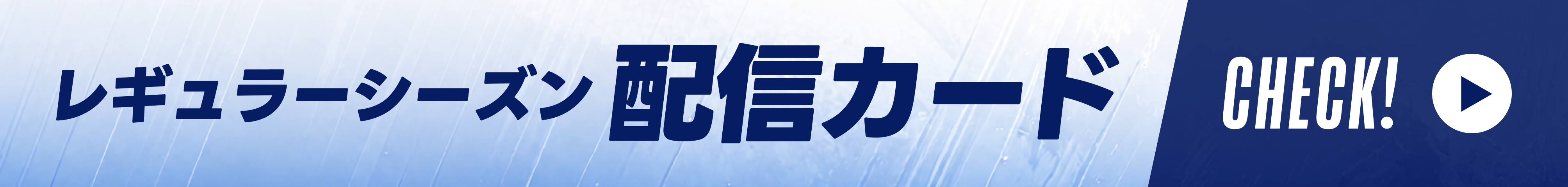 配信スケジュール